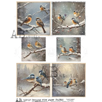 Rizspapir - cinkék és vörösbegyek havas ágon