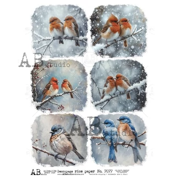 Rizspapir - madárkák az ágon, hat kép