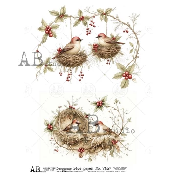 Rizspapir - madárkák fészekben