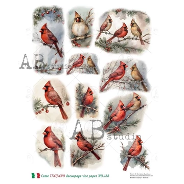 Rizspapir - kardinális pintyek