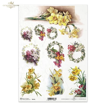 Rizspapír - kikelet