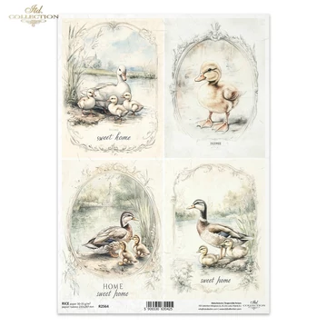 Rizspapír - kacsamama kiskacsákkal