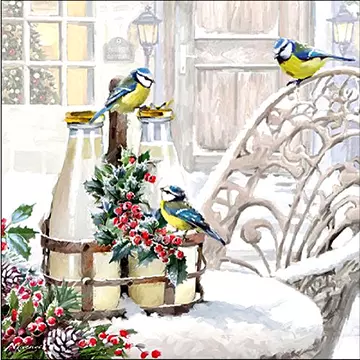Szalvéta - madarak a téli kertben