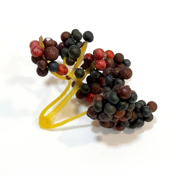 Matt barna-mix fürtbogyó, mérete kb. 6x6 cm, bogyók mérete: 0,5 cm