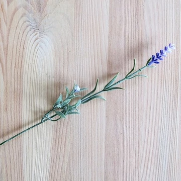 Levendulaszál levéllel, teljes hossz: 260 mm