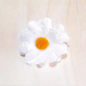 Fehér százszorszép fejvirág, átmérője: 4,3 cm