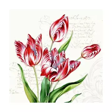 Szalvéta Classic tulips