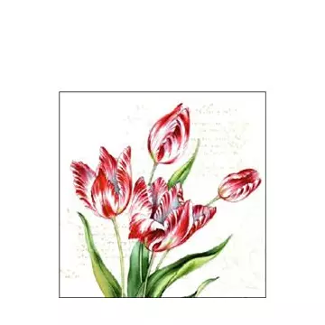 Szalvéta, Classic tulips