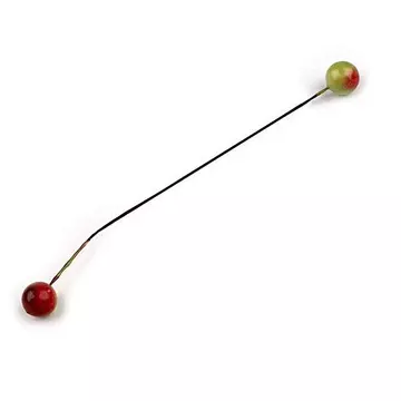 Bogyó, zöld-piros. Átmérő: 11 cm.  2 bogyó/szár