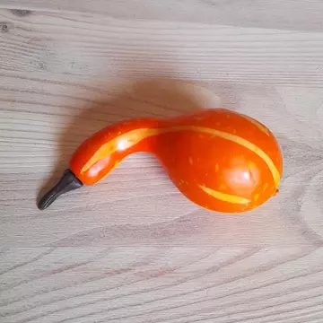 Műtök, narancssárga csíkos. Mérete: kb. 8 cm