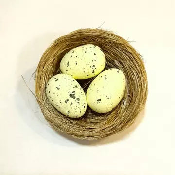 Három sárga tojás fészekben. Fészek mérete: 60x25 mm, tojás mérete: 17x25 mm