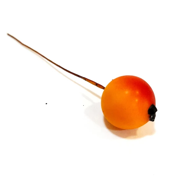 Drótos bogyó, narancs. Bogyó mérete: kb. 1,5 cm
