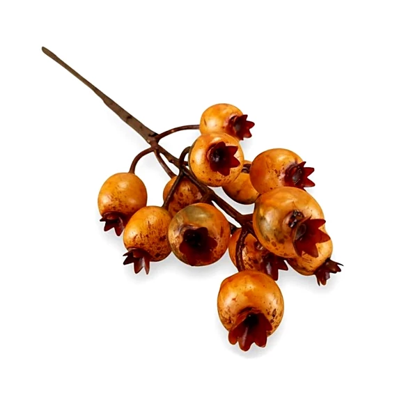Barkócaberkenye, narancs. Bogyók mérete: 3x2 cm, hossza: 37 cm