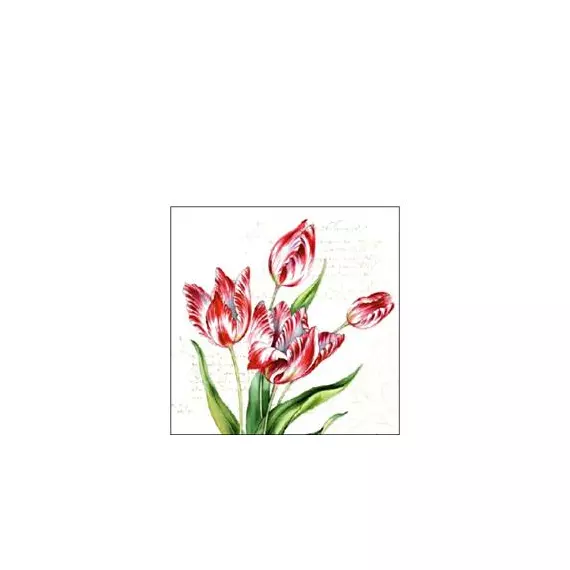 Szalvéta, Classic tulips
