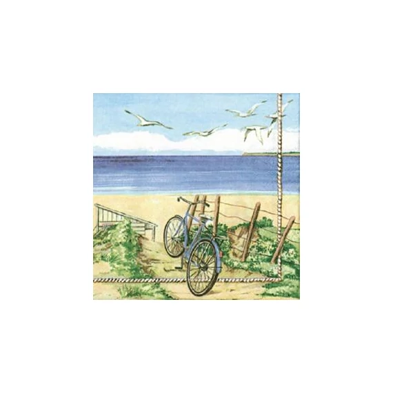 Szalvéta, Beach bicycle